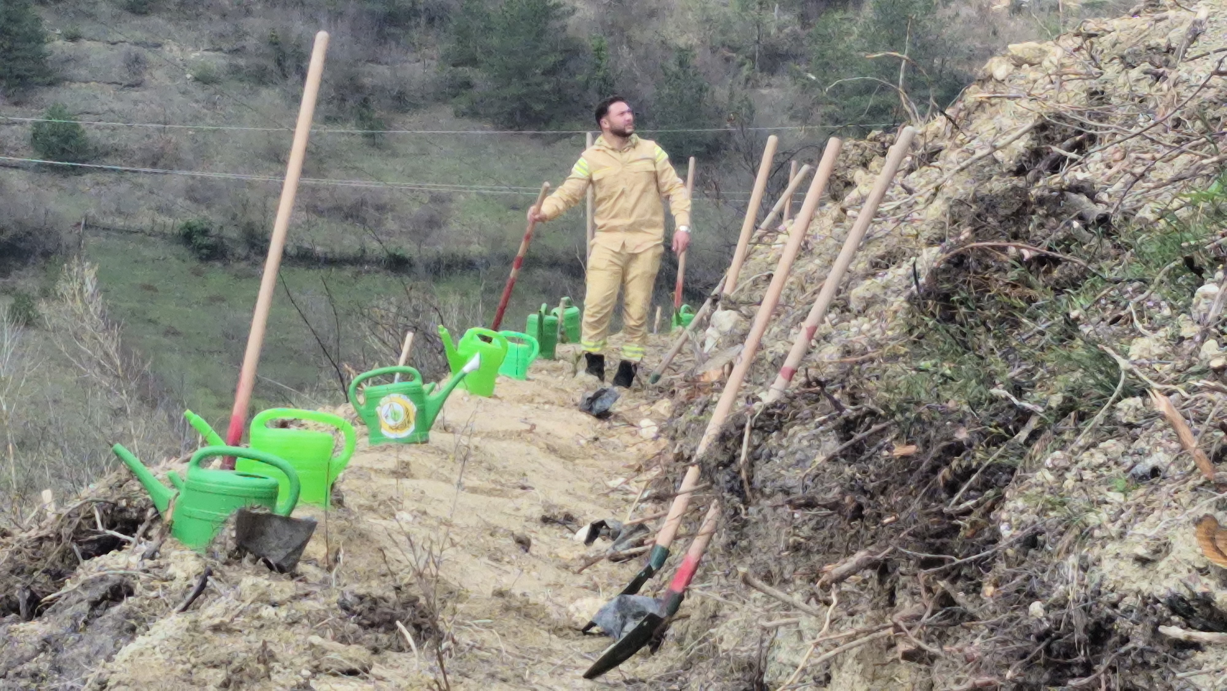  Bartın'da geçen yıl yanan ormana 400 fidan dikildi