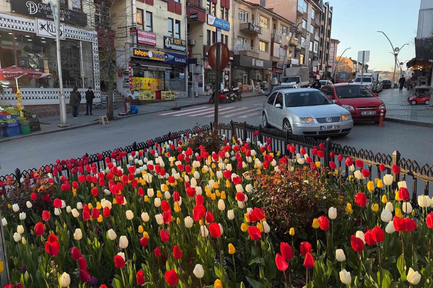 BARTIN RENGÂRENK GÖRÜNÜME KAVUŞTU